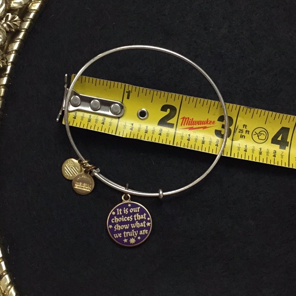 Alex and Ani Harry Potter Its Our Choices Charm Bangle Slide Bracelet - Picture 4 of 7